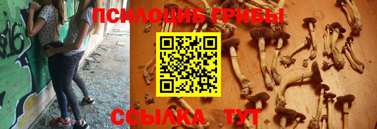 Самара  Псилоцибиновые грибы GOLDEN TEACHER  Вход с VPN 